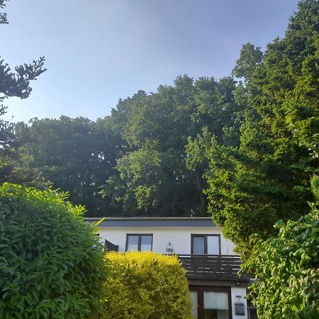 Apartment Am Waldrand 1 Person ,Gemuetlich, Nichtraucher Itzehoe Kültér fotó